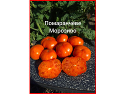 Помаранчеве Морозиво