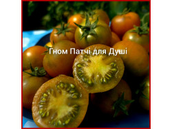 Томат Гном Патч для Душі