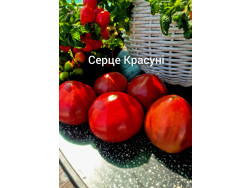 Томат Серце Красуні