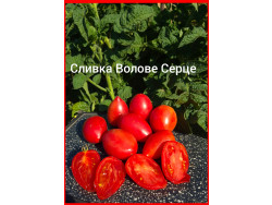 Томат Сливка Волове Серце