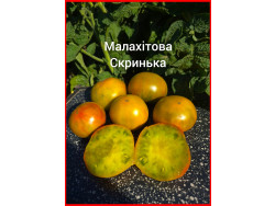 Томат Малахітова Скринька