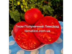 Томат Гном Полуничний Лимонад