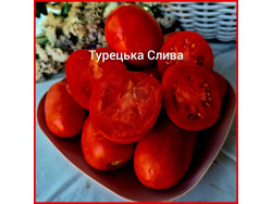 Томат Турецька Слива