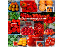 Набір насіння низькорослих витривалих сортів