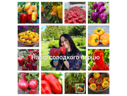 Набір насіння перцю солодкого