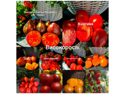 Набір високорослих помідорів