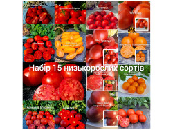 Набір низькорослий