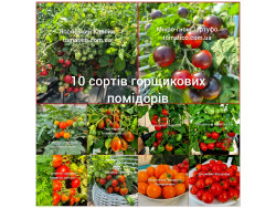 Набір помідорів для горщиків