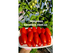 Томат Перцовка