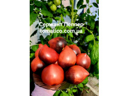 Сержант Пеппер
