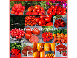 Набір насіння низькорослих витривалих сортів
