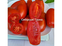 Томат Сибірські Грона
