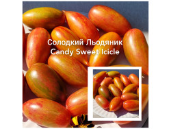 Томат Солодкий Льодяник