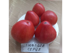 Томат Любляче Серце
